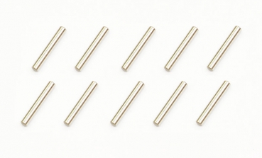 Serpent Stift 2.5x17 (10)