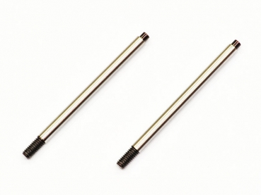 Serpent Kolbenstange RR Truggy (2)