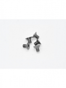 Aluminium Senkschrauben mit Innensechskant M3x5mm (5St.) Grau