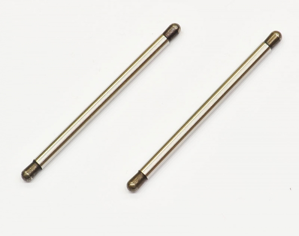 Serpent Hingepin (2)