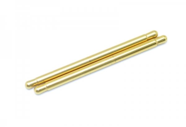 Serpent Hingepin fr / rr TiN coated (2)