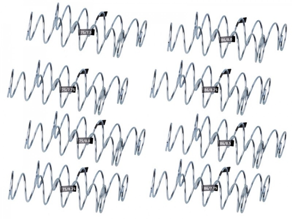Mugen Dämpfer Federn Set VA/HA 1.5mm (10) - E0579-1