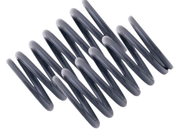 Mugen Dämpfer Federn  HA grau