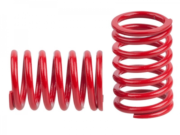 Mugen Dämpfer Federn HA 2.0 rot