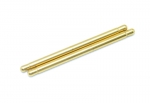 Serpent Hingepin fr / rr TiN coated (2)