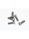 Titan Flachkopfschrauben mit Innensechskant M4x12mm (5St.)